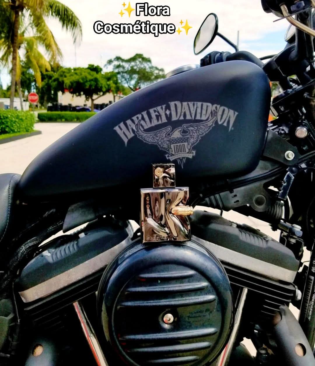 Spectre Ghost French Avenue